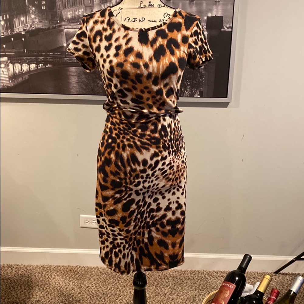 Leopard 🐆 Own The Town She Dress